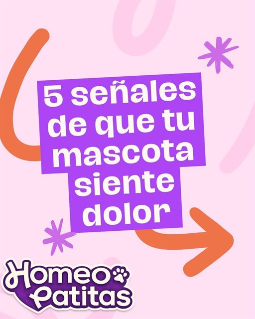 Publicación de Homeopatitas en Instagram