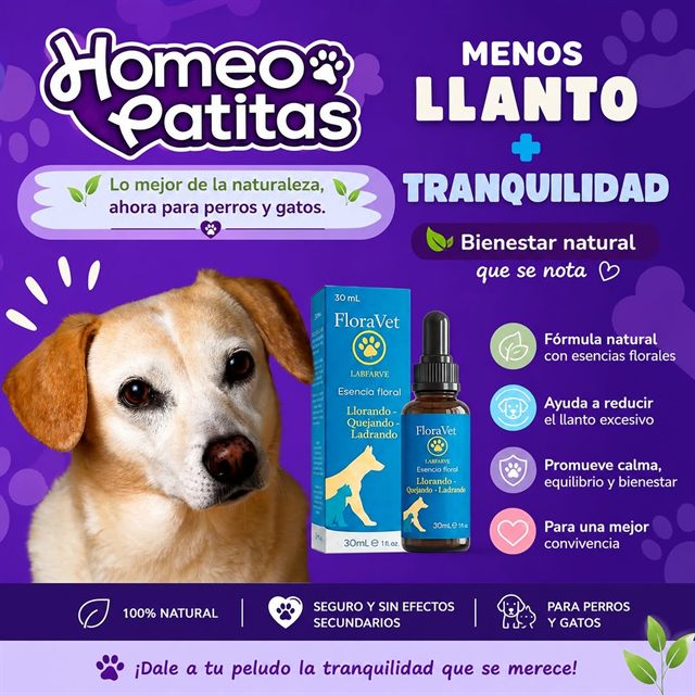 Publicación de Homeopatitas en Instagram